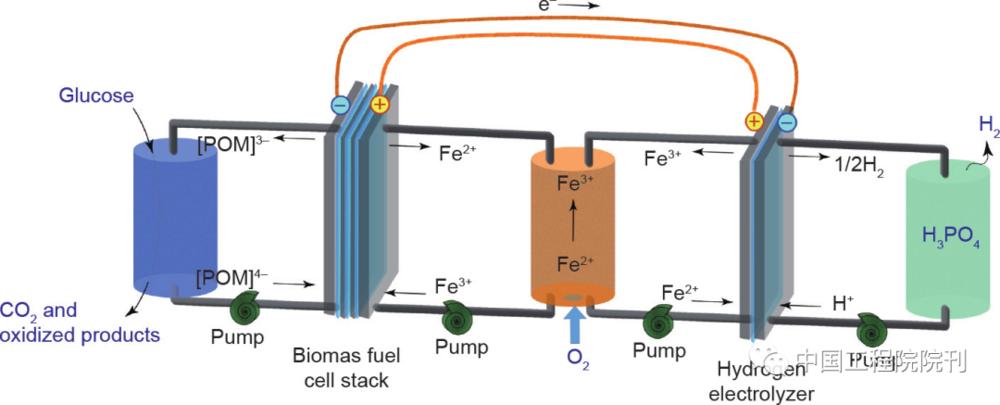 图5 生物质燃料电池集成电解制氢示意图.
